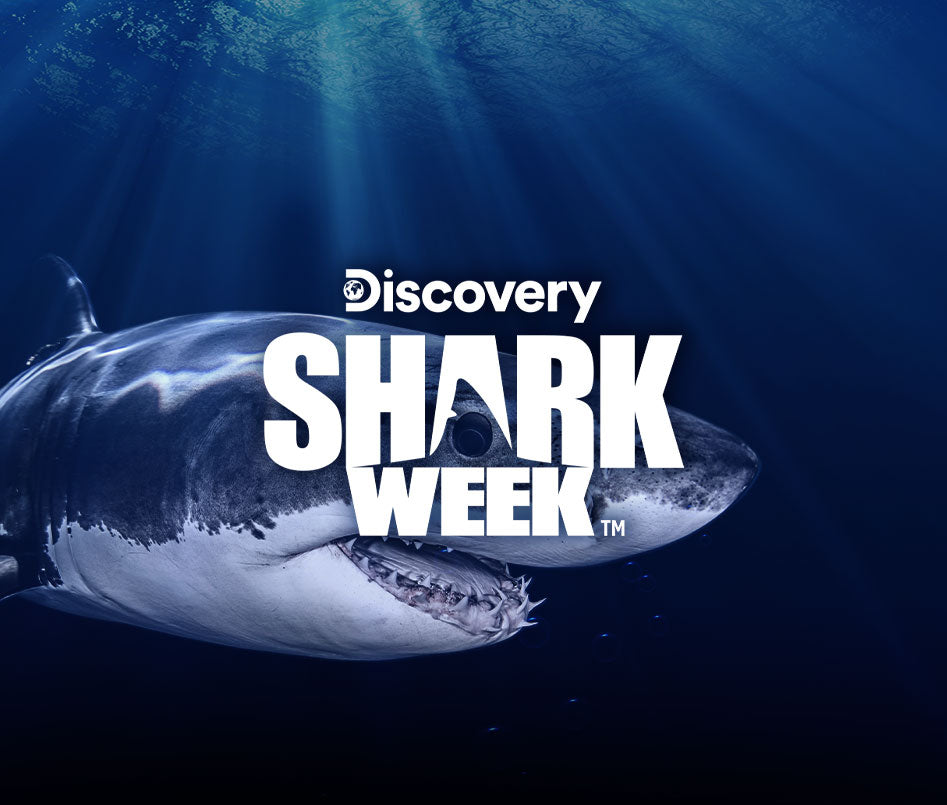 A shark swimming underwater with 'SHARK WEEK' text overlay